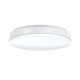 LED Aufbauleuchte ws 12W Ø275mm 1250lm IP54 HF-SENSOR